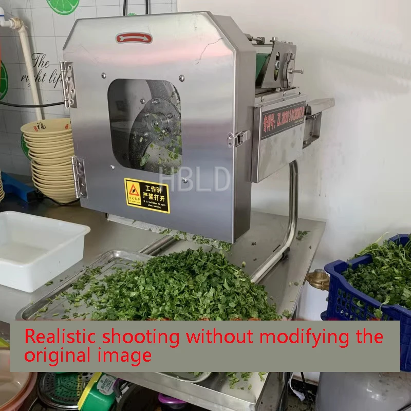 Small Electric Vegetable Cutte - Kitchen Appliances Green 评论和价格