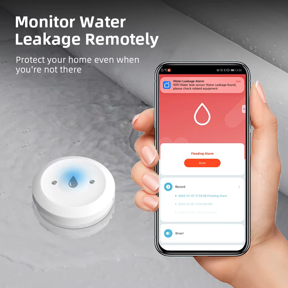 ZigBee Smart Water Leak Sensor - Kitchen Appliances Video 评论和价格