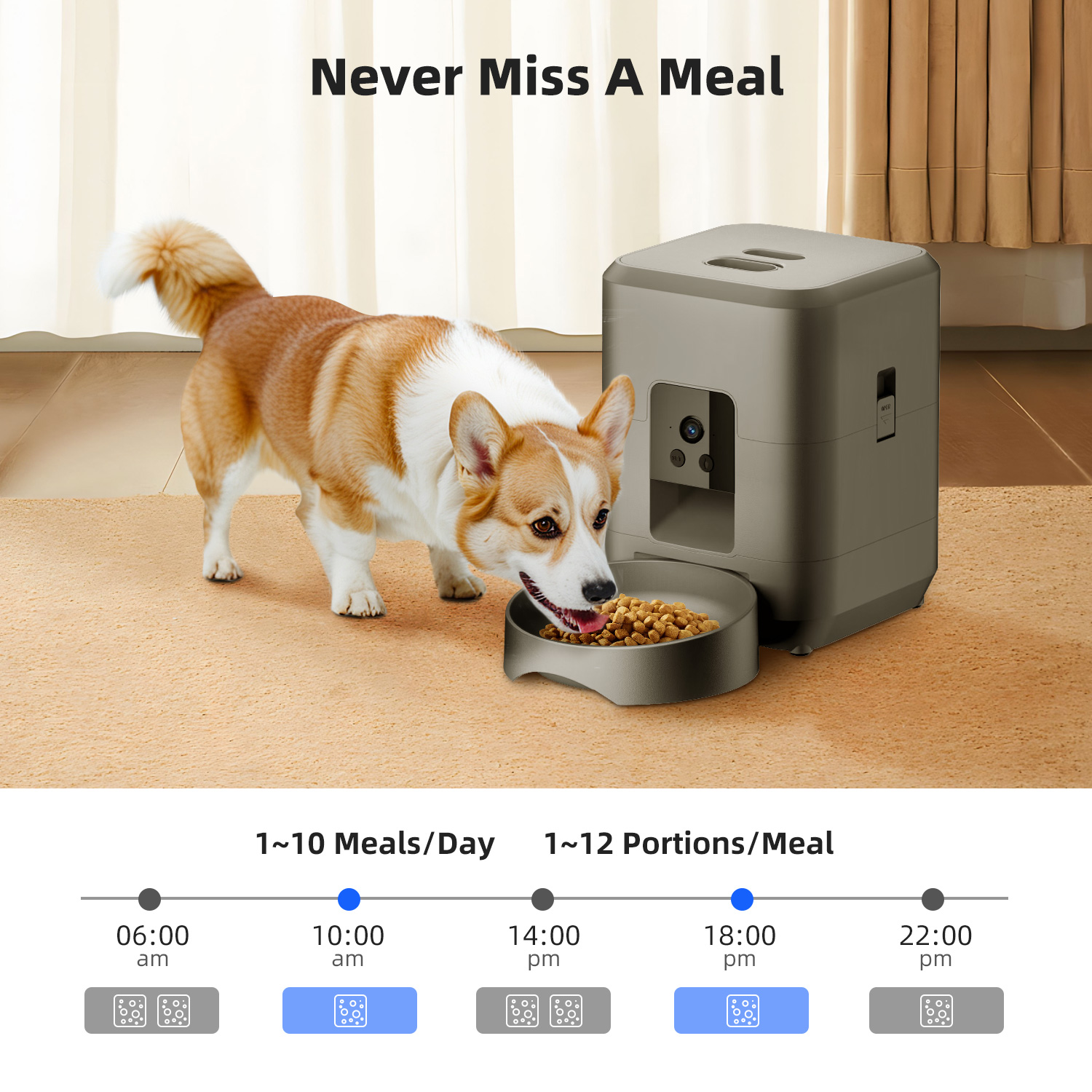 2L Automatic Pet Feeder Cat Sm - Kitchen Appliances Video 评论和价格